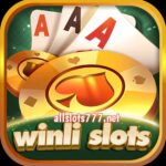 Winli Slots Game