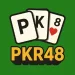 PKR48 Game Download Free For Android 2026